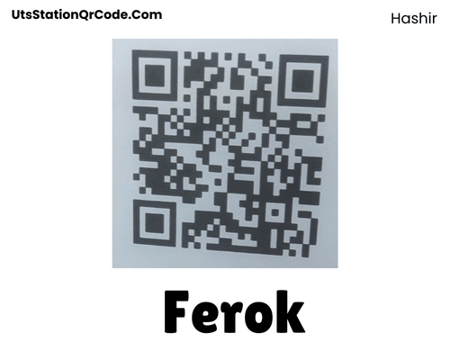 Ferok Station QR Code